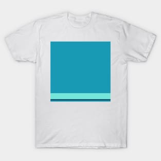 A lovely integration of Water, Tiffany Blue, Water Blue and Marine Blue stripes. T-Shirt